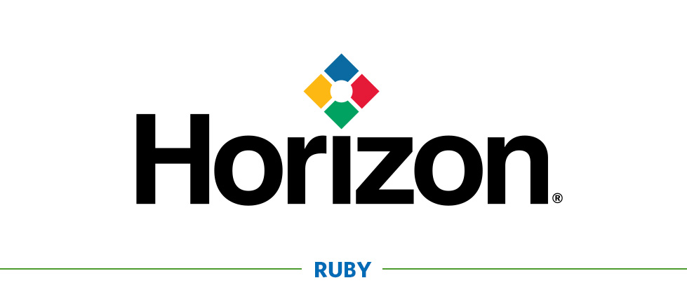Horizon
